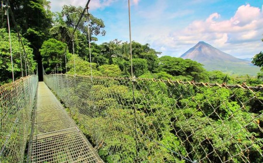 Private 4x4 travel on a scenic coastal road in Guanacaste