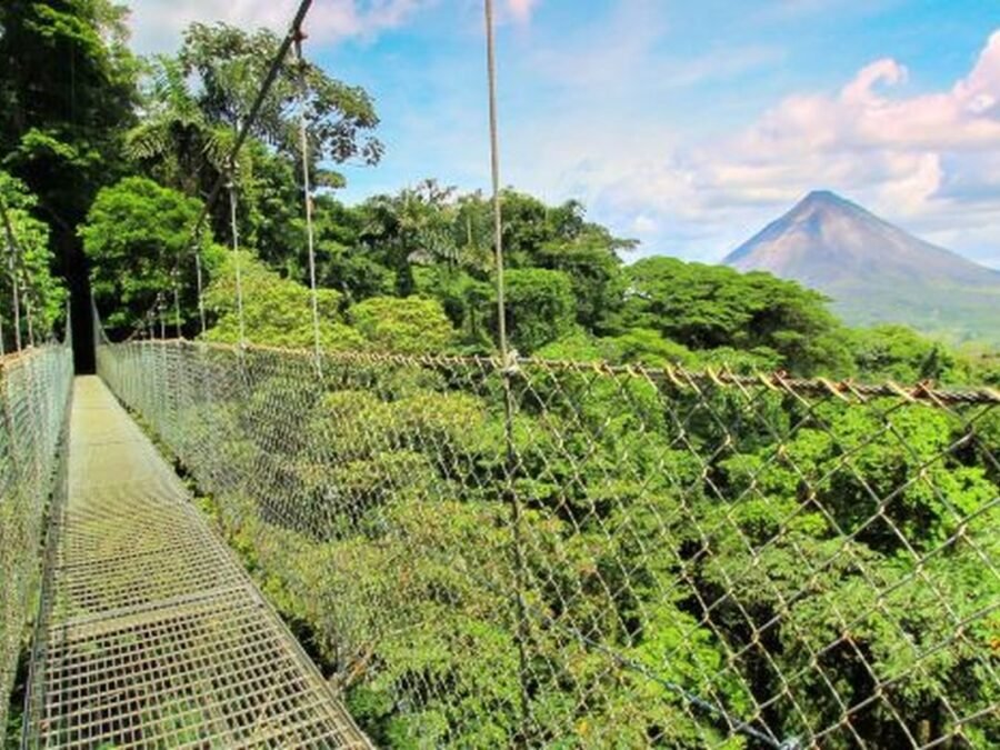 Hanging bridges in the Arenal rainforest