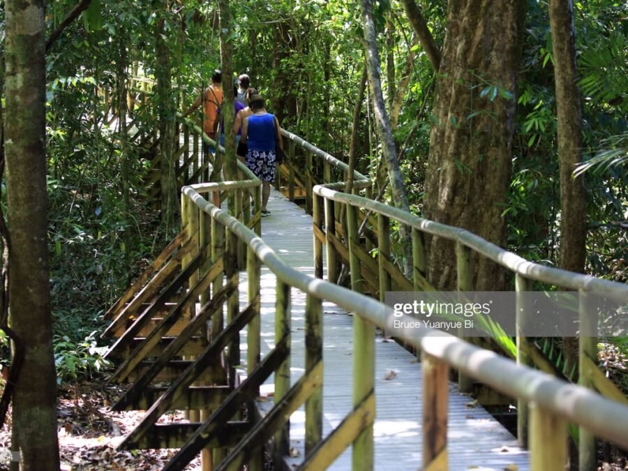 Manuel Antonio National Park trail